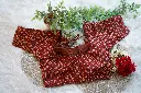 DSC00063.webp