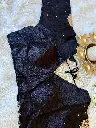IMG_9355.webp