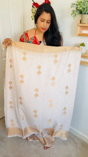 SS05 - Georgette Off-white Saree